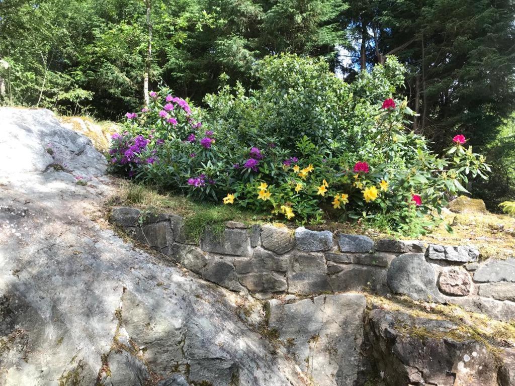 Tom Beag - Ben Nevis View Rooms Fort William Ngoại thất bức ảnh
