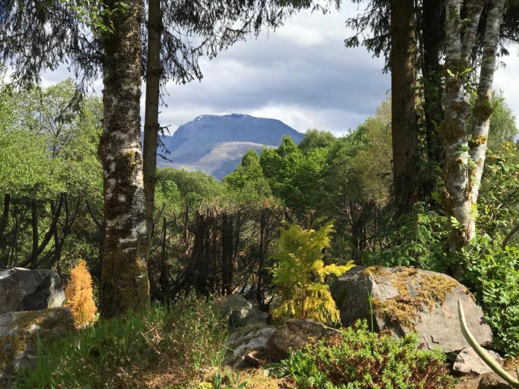 Tom Beag - Ben Nevis View Rooms Fort William Ngoại thất bức ảnh