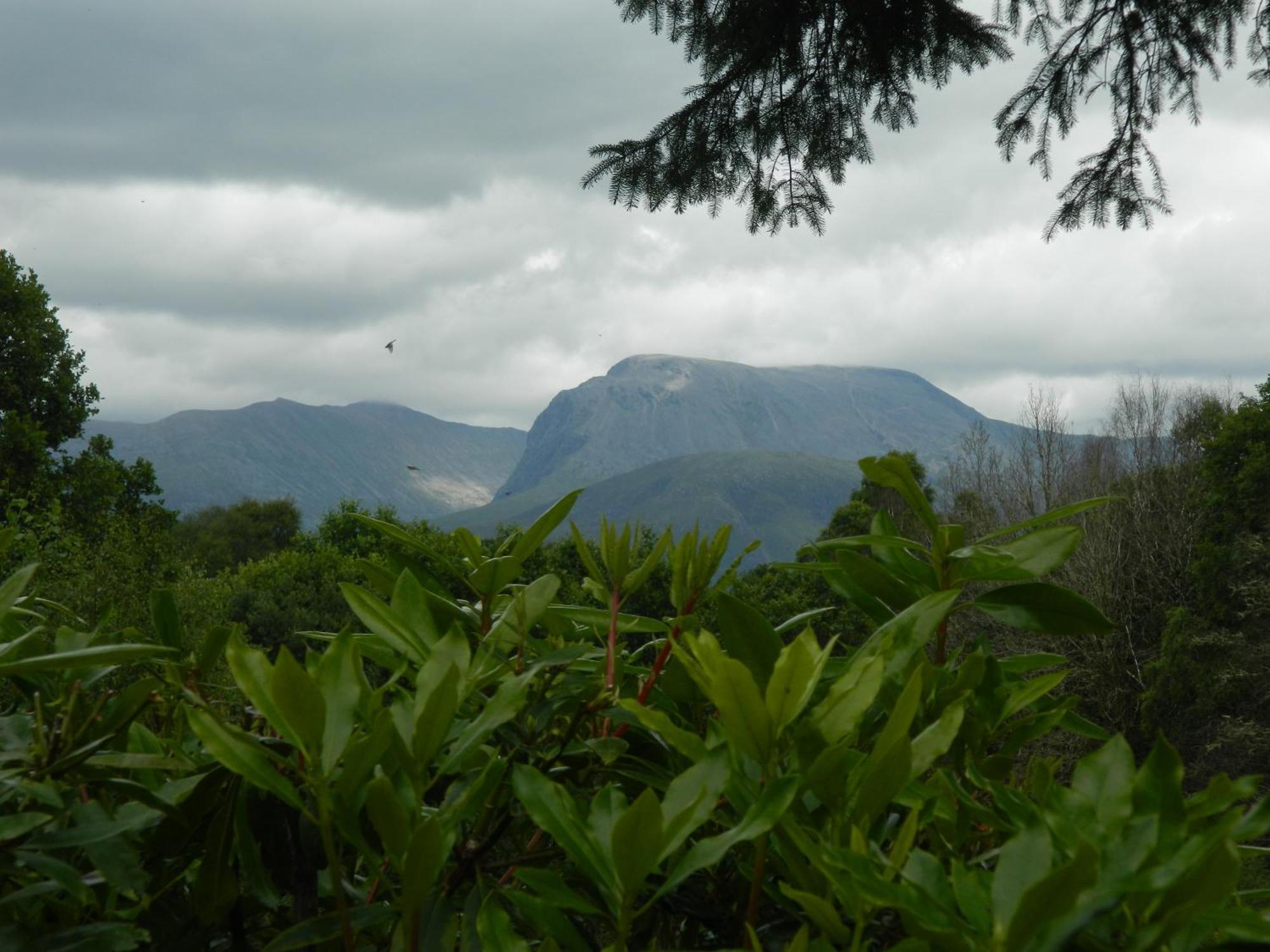 Tom Beag - Ben Nevis View Rooms Fort William Ngoại thất bức ảnh